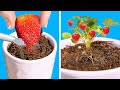 48 SIMPLE WAYS TO GROW your mini garden and make your plants blossom