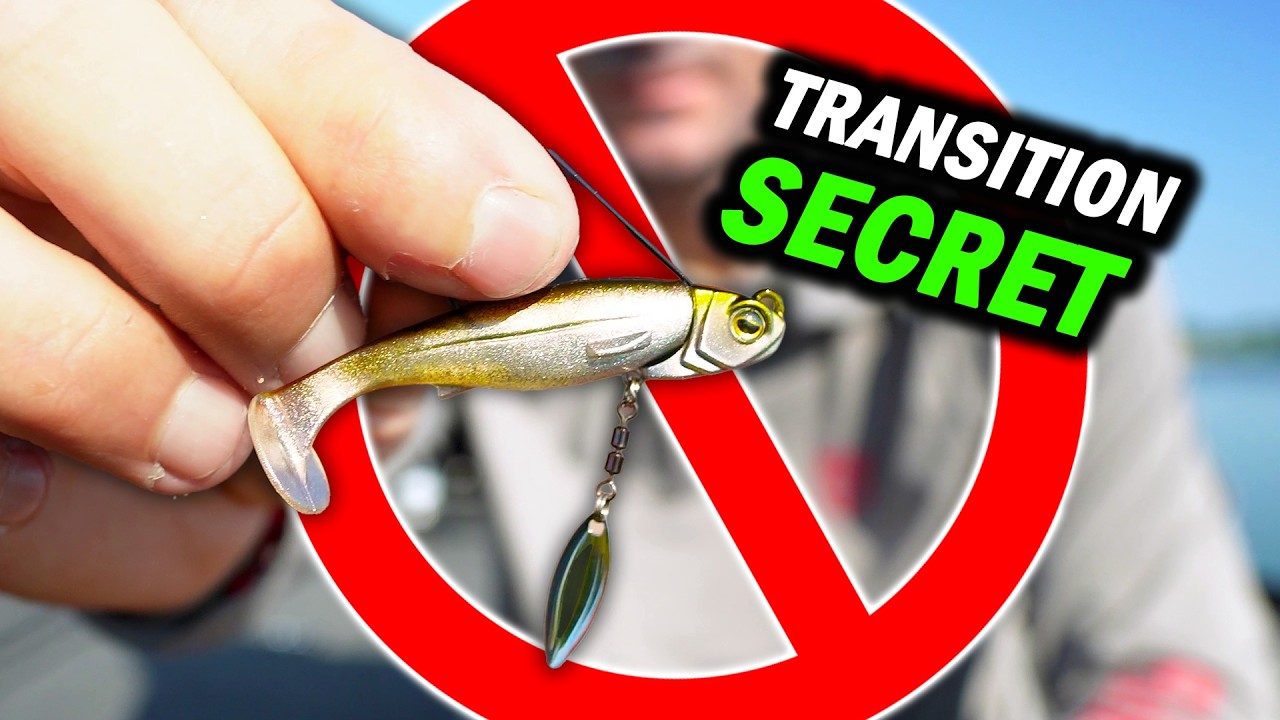 These BREAK every RULE in SWIMBAIT Fishing