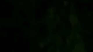 Wujud asli penangkapan siluman babi di hutan oleh ki suryo(BEDA ALAM) real..