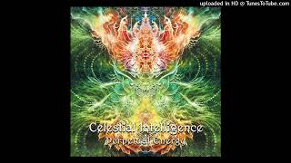 Celestial Intelligence - Constant Motion (Suntrip Records)