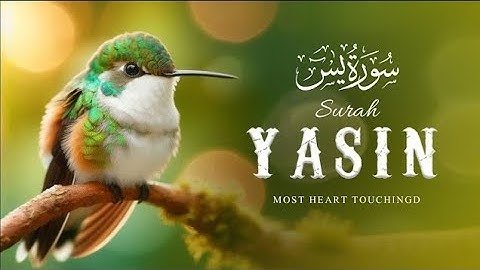Surah Yaseen سورة يس Heart-Touching Calm &Ultimate Majestic Quran for Deep Sleep #surahyaseen