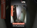 كاميرا المراقبة فضحته في أخ يعمل في أخته كده