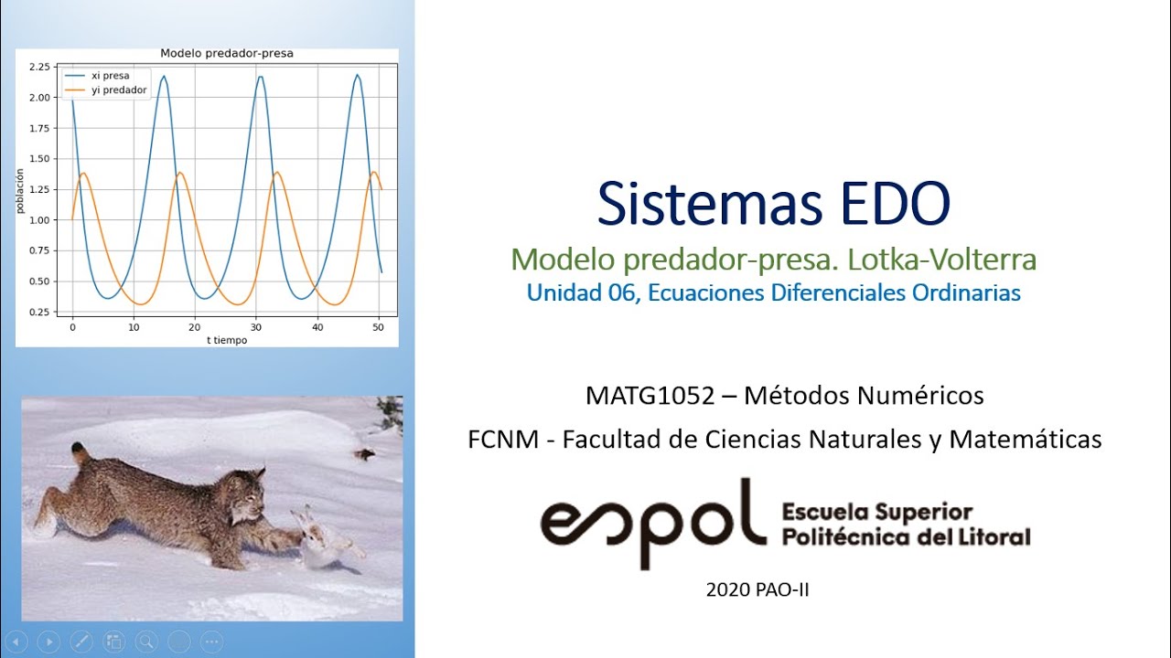 Sistemas EDO con Python. Modelo Predador-Presa - YouTube