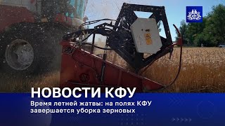 видео: Время летней жатвы: на полях КФУ завершается уборка зерновых картинка: Время летней жатвы: на полях КФУ завершается уборка зерновых
