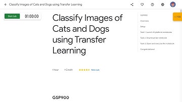 Classify Images of Cats and Dogs using Transfer Learning GSP900