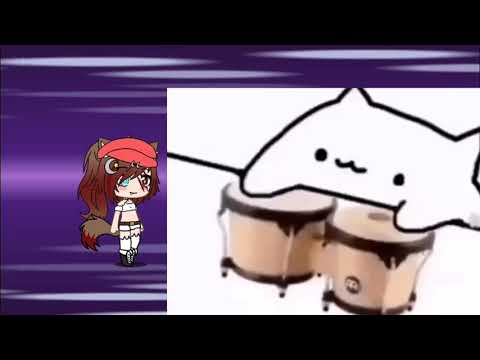 bongo-cat-meme-(lóóps!)