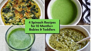 4 Spinach Recipes for 10 Months+ Babies & Toddlers