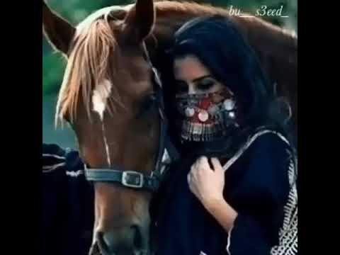 حب الغواني دعاني مولعن وآنوح ميحد