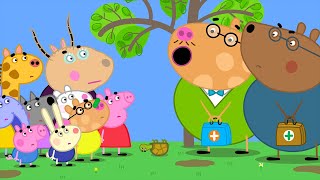 The Upside Down Tortoise 🐢 🐽 Peppa Pig and Friends Full Episodes by Peppa and Friends 62,177 views 2 weeks ago 1 hour, 2 minutes