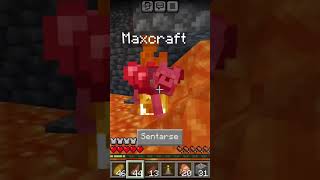 la salvada de mi perrito maxcraft