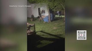 Police arrest felon who led Middle TN law enforcement on chase in stolen vehicle