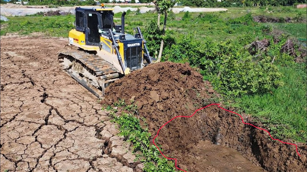 Nicely Process SHANTUI Bulldozer Clearing And pushing soil Filling Land with 25ton Dump Trucks.