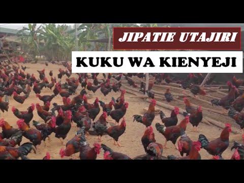 Video: Je, mtandao wa rika kwa rika unagharimu kiasi gani?