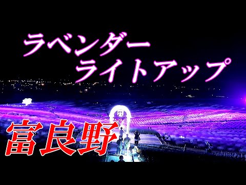 【北海道 富良野】ラベンダーライトアップ始まる！！「ラベンダーイースト、日の出ラベンダー園」