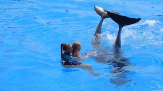 : Veronika Dancing with  Dolphins