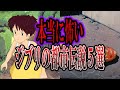 【ゆっくり解説】本当に怖いジブリの都市伝説5選