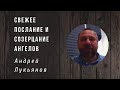 Андрей Лукьянов | Свежее послание и созерцание ангелов