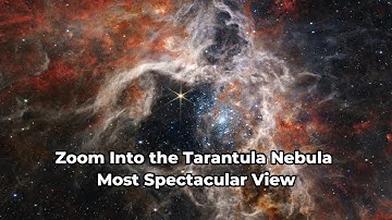 Zoom Into the Tarantula Nebula: You Won