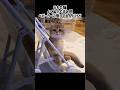 子猫が自分でベビーカー押し始めたんだが… #shorts #子猫 #ブリティッシュゴールデン