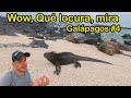 Caminado descubrí esto Playa Punta Carola Galápagos #4. Isla San Cristóbal . Albert Oleaga. Ecuador