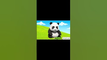 gấu trúc lăn tròn nào  #cartoon #3danimation #funnyanimation #funny #shortvideo #thegioivoxel