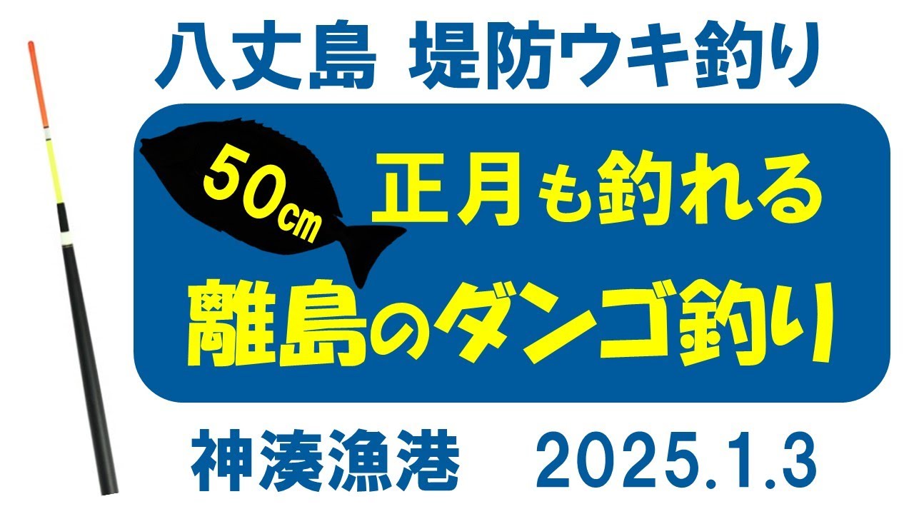 八丈島堤防ウキ釣り2025.1.3