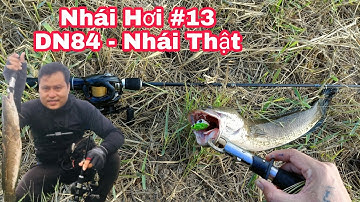 Câu Cá Lóc Bằng Nhái Hơi P13. Săn Hugo Bằng Nhái Hơi DN84 Và  Nhái Thật.F35.| Đại Ngáo Vlog