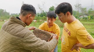 Demeter's Journey with ASEAN SEDP 4.0 | Empowering Smallholder Farmers in Viet Nam