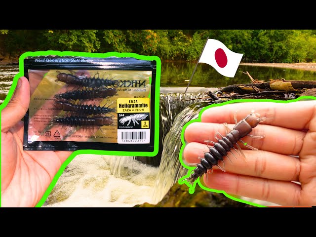 AMAZING Lure For Early Fall_NIKKO HELLGRAMMITE 