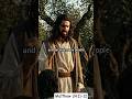 What Jesus tells us will happen in the end times #Jesus #saved #subscribe #endtimes #faith