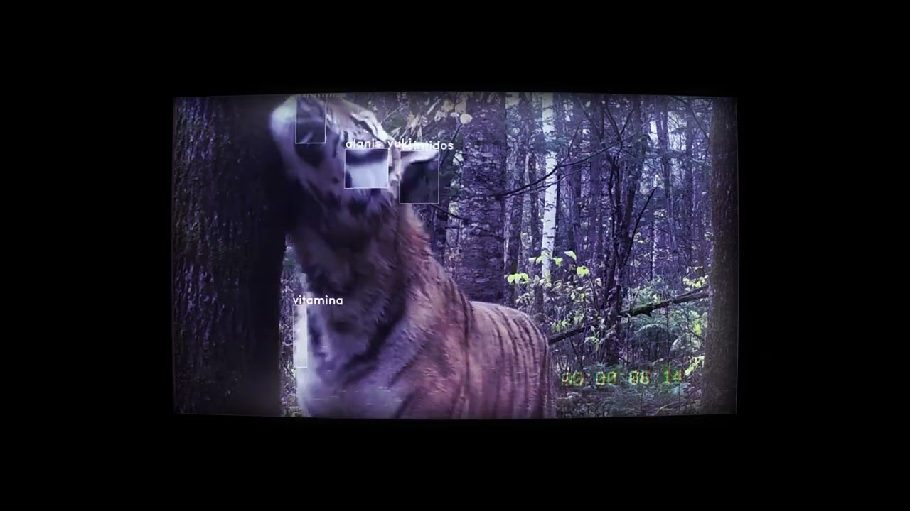 Alanis Yuki - Vitamina (Visualizer)