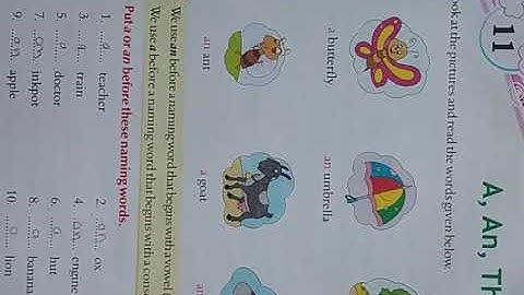 ENGLISH GRAMMAR GRADE-2 CH 11 A,AN, THE