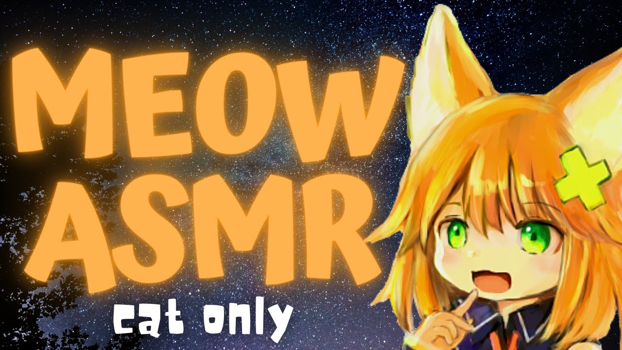 ASMR】にゃあ~猫語耐久1時間【cat only】 - YouTube