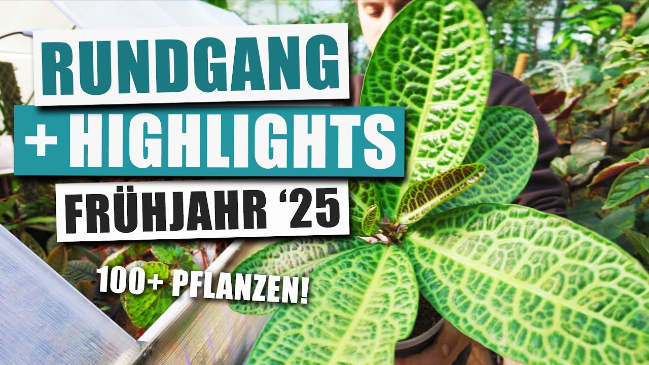 Highlights im Frühjahr 2025 + MyBotanika Hamm Vorschau!