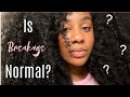 Worried About Hair Breakage????? WATCH THIS!!!!!!!!