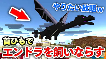 ゴラクバドラゴン Mp3
