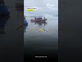 Perahu Terbalik di Laut Maluku Tenggara, Dua Mahasiswa KKN UGM Meninggal | Narasi Daily