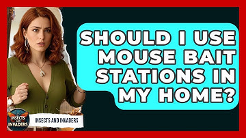 Should I Use Mouse Bait Stations In My Home? - Insects and Invaders