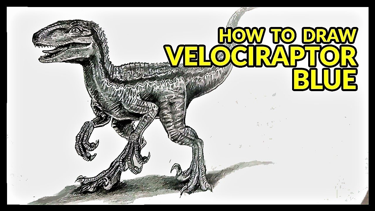How To Draw Blue The Velociraptor From Jurassic World Fallen Kingdom Drawing Tutorial Youtube