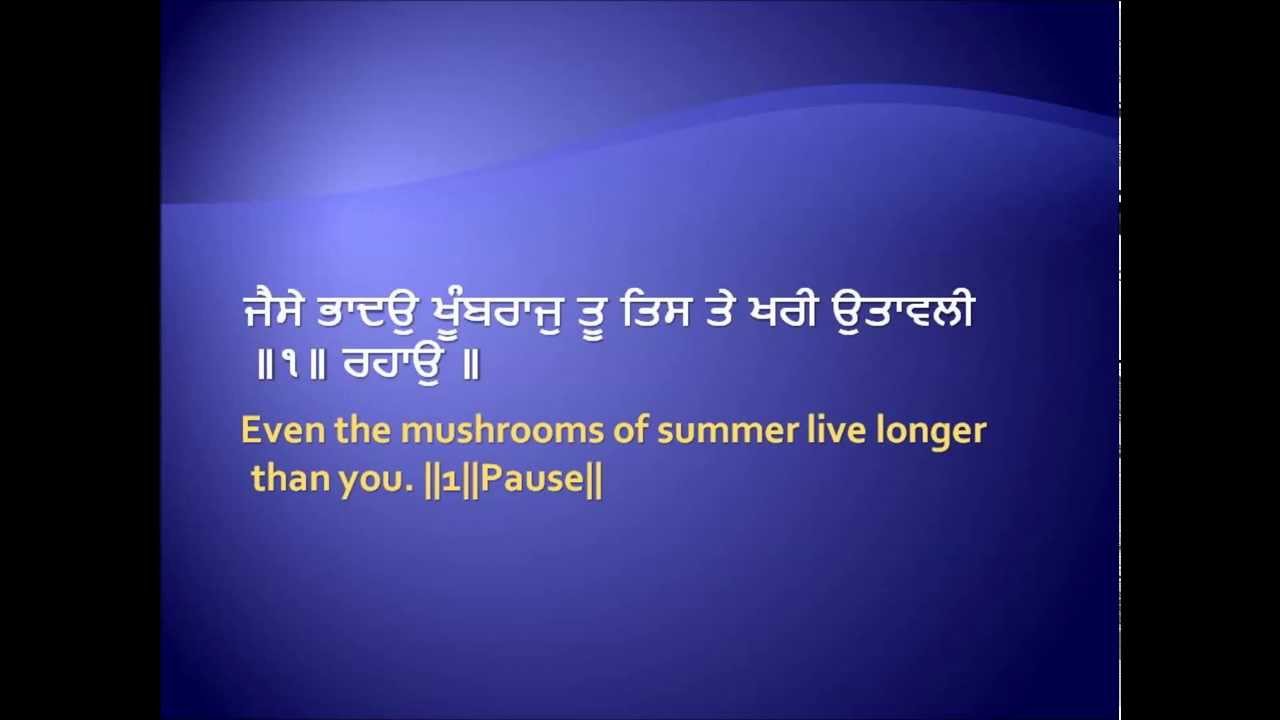 tu kahe garbe bawli lyrics tu kahe garbe bawli lyrics