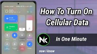 How To Turn Off &On Cellular Data On Android 2024