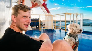 Overnight Boat to Mainland Mexico with a Dog (La Paz to Mazatlán)