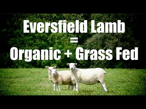 Organic grass fed lamb - paleo friendly - from www.eversfieldorganic.co.uk