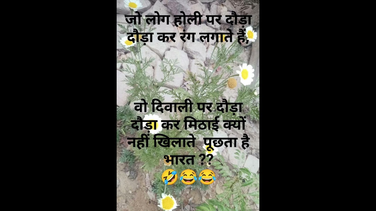 Holi special Jokes....