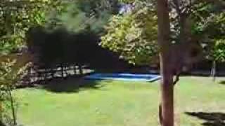 videox.com.ar - fermin y la pileta