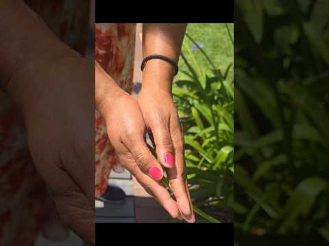 #agapanthus #purple #bloom