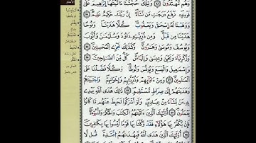 ص 138 - سورة الأنعام - مكررة 7 مرات للتثبيت الشيخ عبد الحميد القريو {رواية قالون}