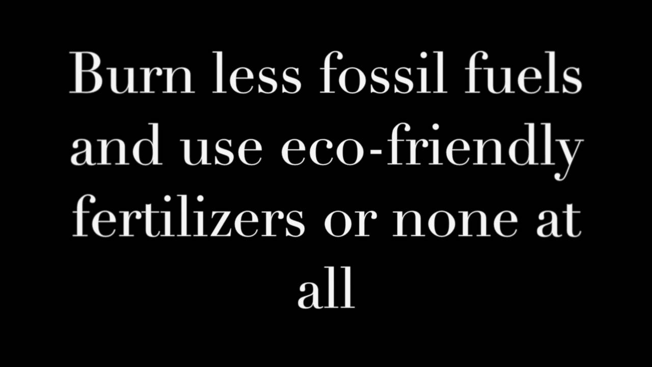 Top 10 Environmental Issues YouTube