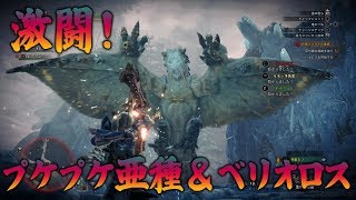 #4【MHW】 プケプケ亜種&ベリオロスと限界を超えて闘う男たち【モンハンワールド】