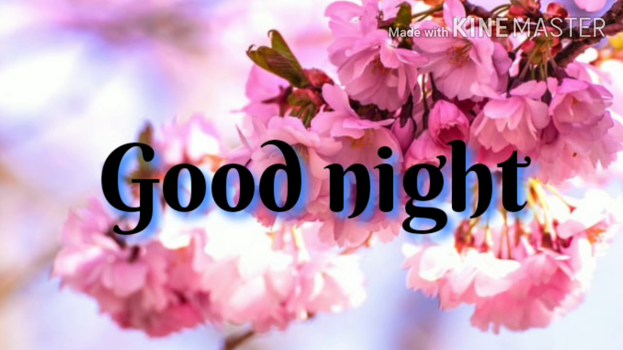 Good night images photos pics gifs hd wallpaper video with music for social sharing.